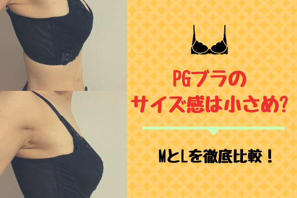 PGブラのサイズ感は小さめ